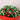 Lindt Chocolate Bouquet
