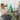 Urgent Christmas gift delivery on Christmas Eve – reliable courier service in Australia