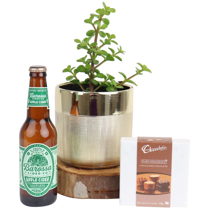 Money Tree & Cider Gift Mother's Day Gifts Edible Blooms