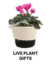 Live Plant Gifts