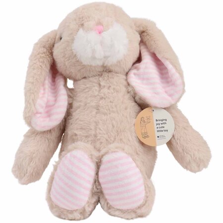 Plush Bunny 30cm (Extra)