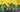 Preparing your Spring Garden and Our Personal Checklist