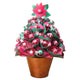 Pink Christmas Tree Medium