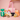 Gift Hamper