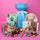 Easter Chocolate Gift Box