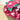 Poinsettia Bouquet Close up