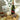 Champagne Christmas Hamper