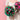Holly Bouquet chocolate Christmas flowers