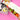 Fruit Gift Pack