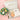 Baby Gift Delivery Same-Day Delivery