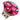 Poinsettia Bouquet Small