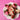 Decorative plate with pink and white chocolate-dipped strawberries on a pink background